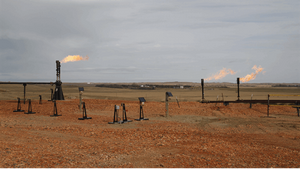 Field of gas wells