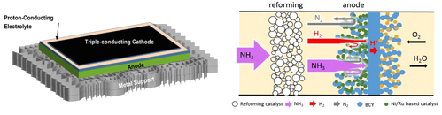 metal-supported proton-conducting solid oxide fuel cell (left), ammonia as fuel to power the proton-conducting solid oxide fuel cells (right).