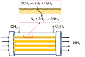 Schematic of a membrane flow reactor, with methane coupling on the exterior and ammonia synthesis on the interior